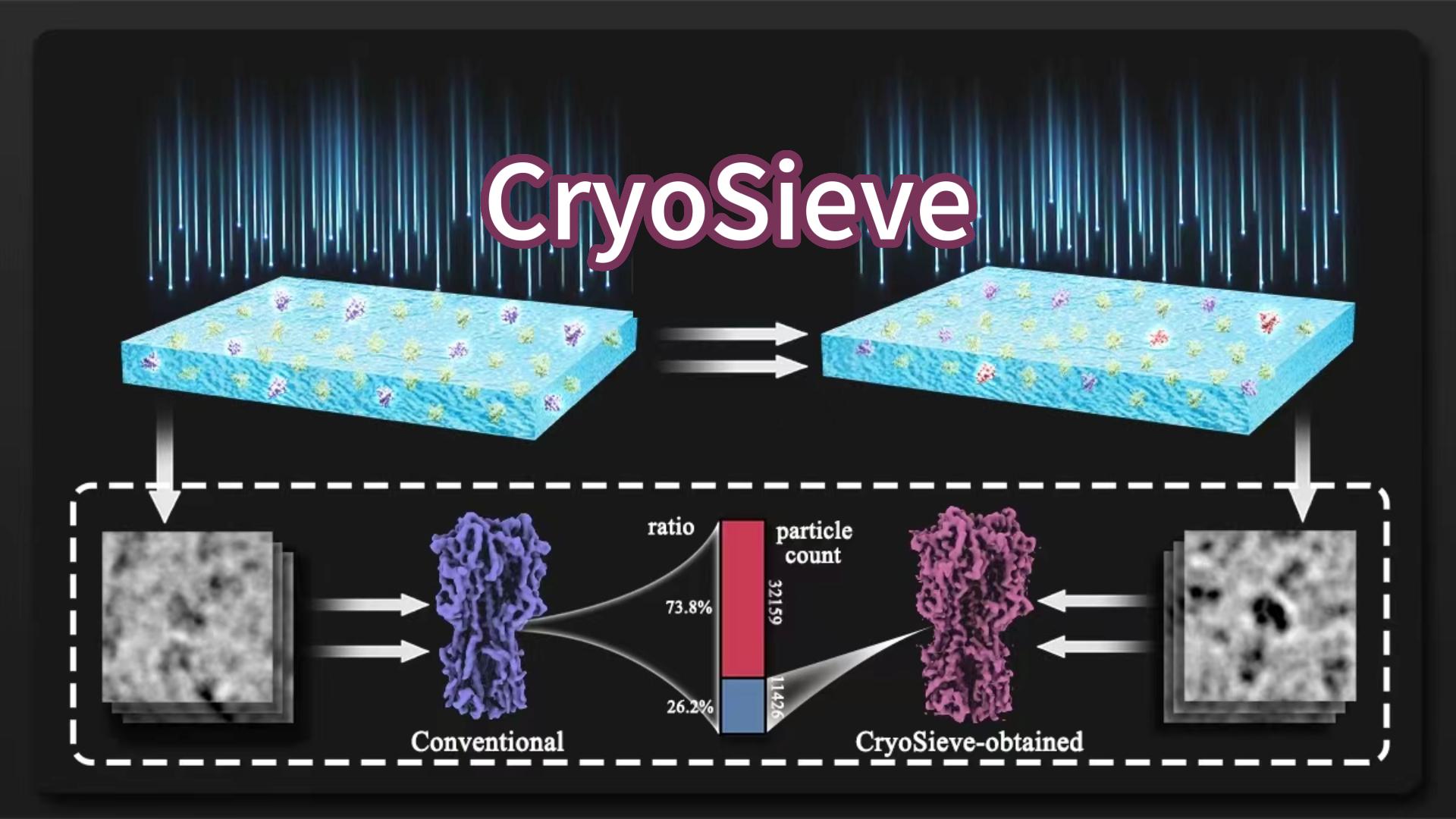 CryoSieve particle sieving overview: 3D density maps showing before-and-after particle selection