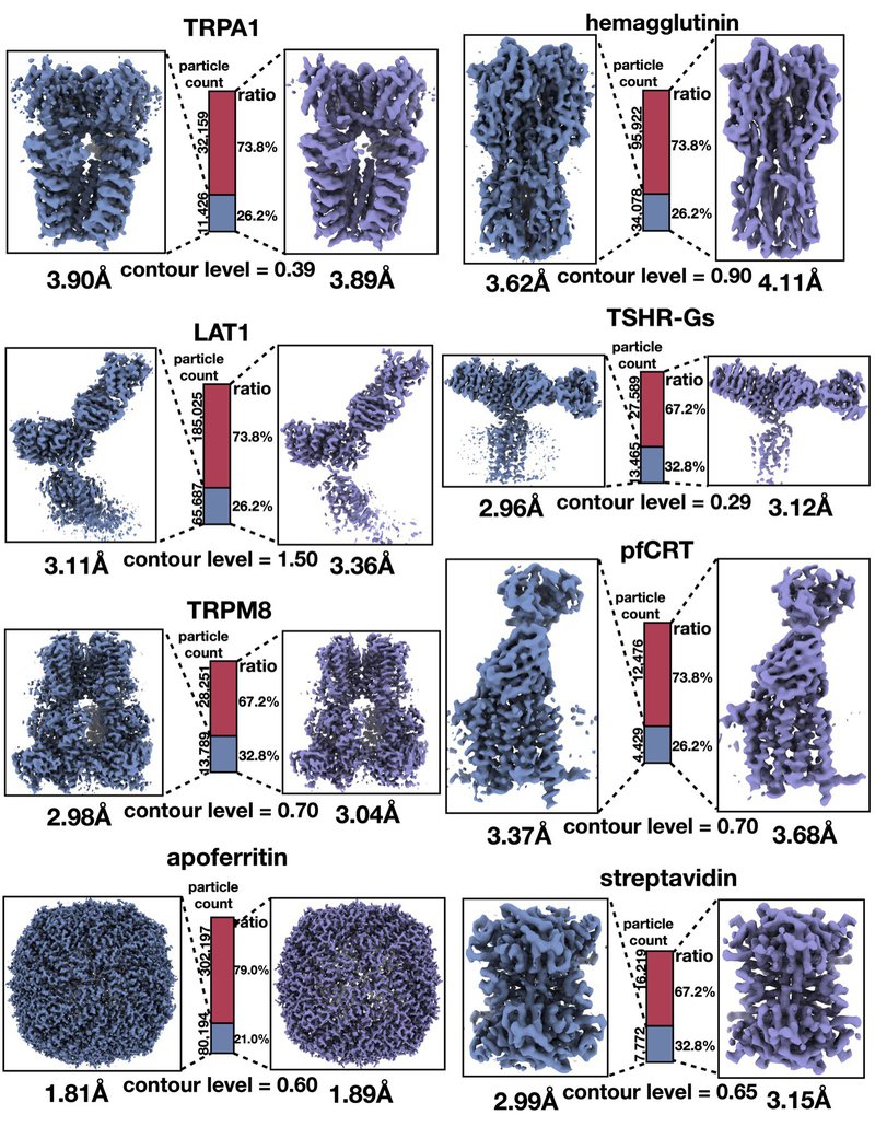 CryoSieve main figure: iterative particle sieving workflow and density map refinement stages